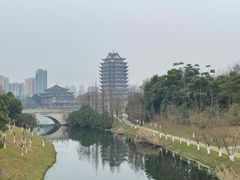 -眉山湿地公园(东坡区)