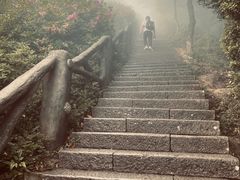 -梧桐山风景名胜区