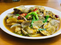 辣炒白贝-鑫鸿达·海鲜闽菜热炒小馆(中山路店)