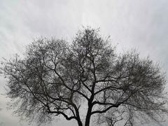 -汉长安城未央宫国家考古遗址公园