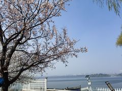 -长春市南湖公园