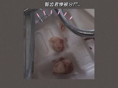 -青岛市口腔医院(总院)