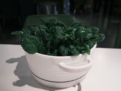 -烹然四季椰子鸡火锅(姚家园万象汇店)