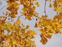 -苏州河梦清园环保主题公园