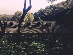 -渣滓洞