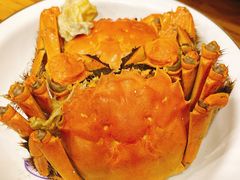大闸蟹-银子铁板烧料理自助餐(人民广场店)