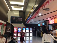 -龙之星国际影城(太平店)