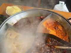 -白乐天毛肚火锅馆(南滨路店)