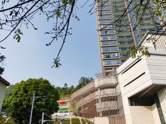 -小南山公园