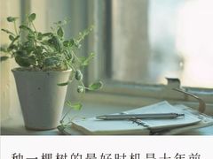-奈雪的茶(新天地广场PRO店)