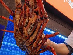 -连鹭海鲜·海肠捞饭·海胆饭(星海店)
