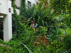 -中国科学院西双版纳热带植物园