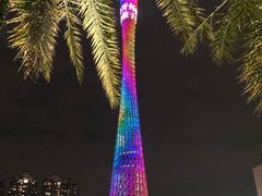 -珠江夜游省总码头