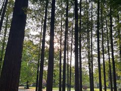 -东坡赤壁风景名胜区