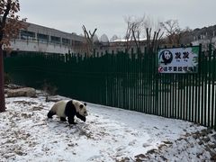 -沈阳森林动物园