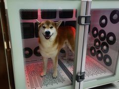 -FAELING PETS美天灵宠物(富力广场店)
