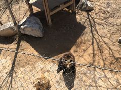 -石家庄市动物园