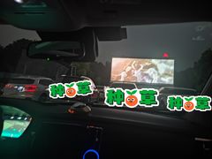 -枫花园汽车电影院(朝阳公园店)