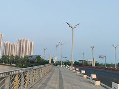 -星光岛