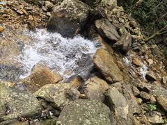 -姑婆山旅游区