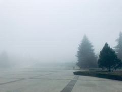 -Tubestation站点比萨(高新万达ONE店)