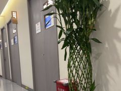 -爱康国宾体检中心(北京航天桥光耀东方分院)