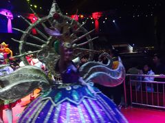 -灵玲国际马戏城