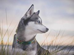 -螺世纪螺蛳粉·桂味小排档(裕德店)