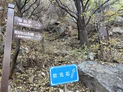 -阳台山自然风景区