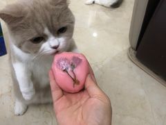 -云朵上的鱼(莘庄店)