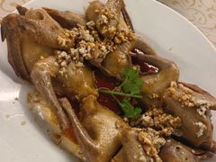 -百利鸽王(紫薇路店)