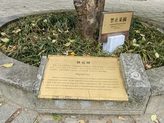 -千岛湖东南湖区