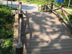 -白水寺森林公园