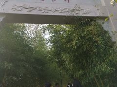 -竹子庵公园