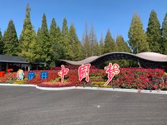-东平国家森林公园