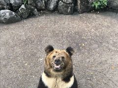 -成都动物园
