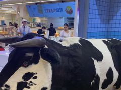 -红星前进面包牛奶公司(君太店)