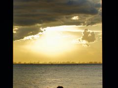 -宝安西湾红树林湿地公园