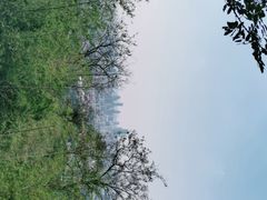 -紫金山天文台