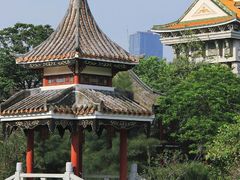 -顺峰山公园