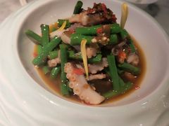 烧椒八爪鱼-雀蓝川菜(奥体广场店)