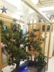 点击看大图 -芳朵美容养生SPA