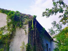 -鹿亭中村