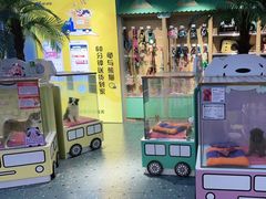 -龟与熊猫宠物公园(南坪店)