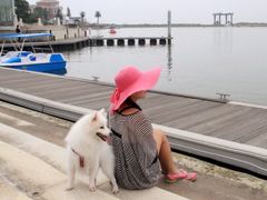 -平湖九龙山旅游度假区