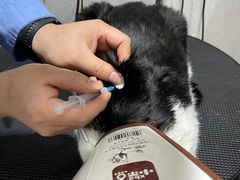 -宠颐生动物医院·小陆分院