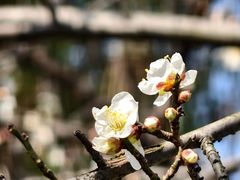-天鹅湖体育公园