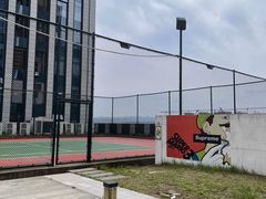 -杭州星辰网球俱乐部(草地店)