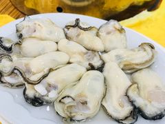 -濠轩阁特色生蚝火锅(水湾路店)