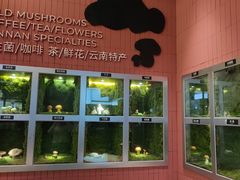 -芸山季·云南野生菌火锅(宝能环球汇店)